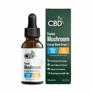 CBG + CBD Oil Tincture – Focus Mushroom Blend – CBDfx