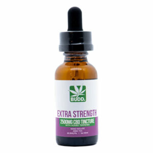 Extra-Strength CBD Oil Tincture with Added Terpenes – BUDD