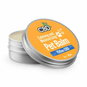 Calming & Moisturizing CBD Balm for Pets – CBDfx